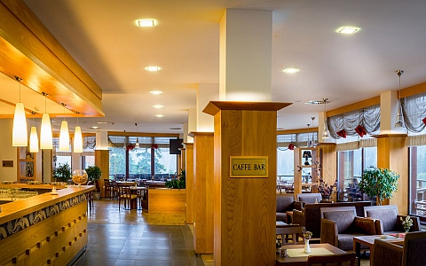 Hotel Bjelašnica Wellness & Spa - Trnovo - Restoran-Bar