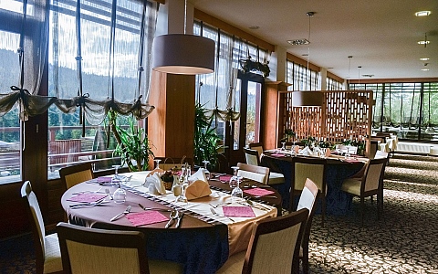 Hotel Bjelašnica Wellness & Spa - Trnovo - Restoran-Bar